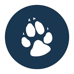 Great Wolf Lodge discount gift card deals