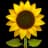 Home & Garden category icon
