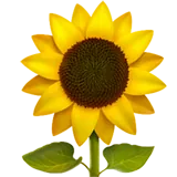 Home & Garden gift cards